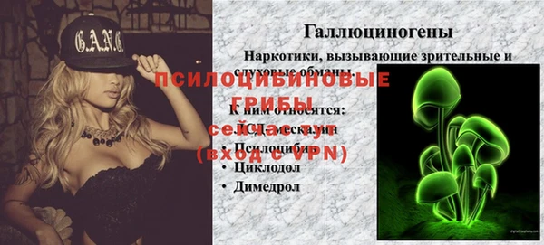 хмурый Алексин