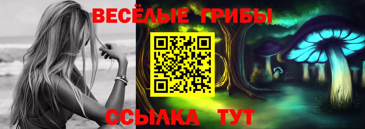 Псилоцибиновые грибы прущие грибы Коряжма